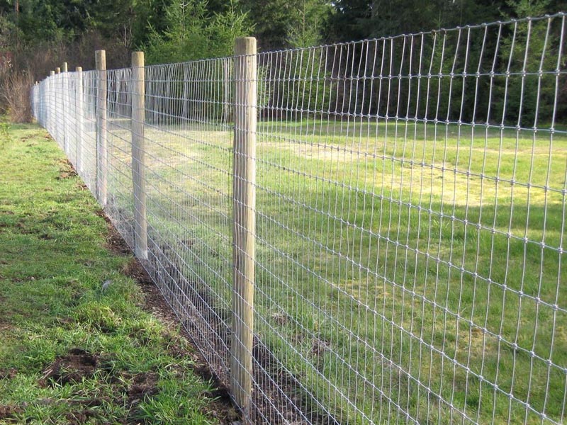 �B(y��ng)ֳ���ھW(w��ng)�N����b����