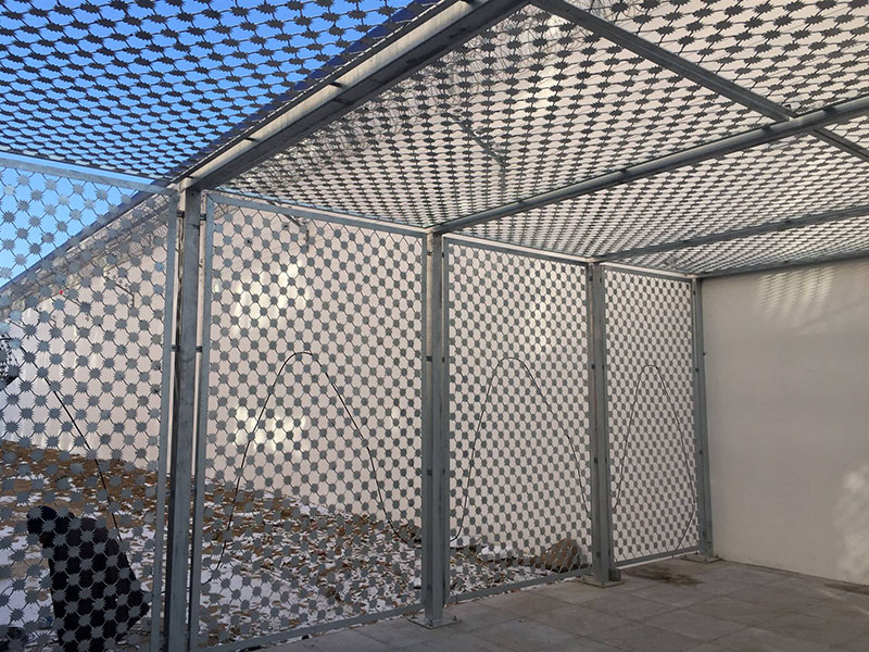 ÷���̾W(w��ng)Ҏ(gu��)��