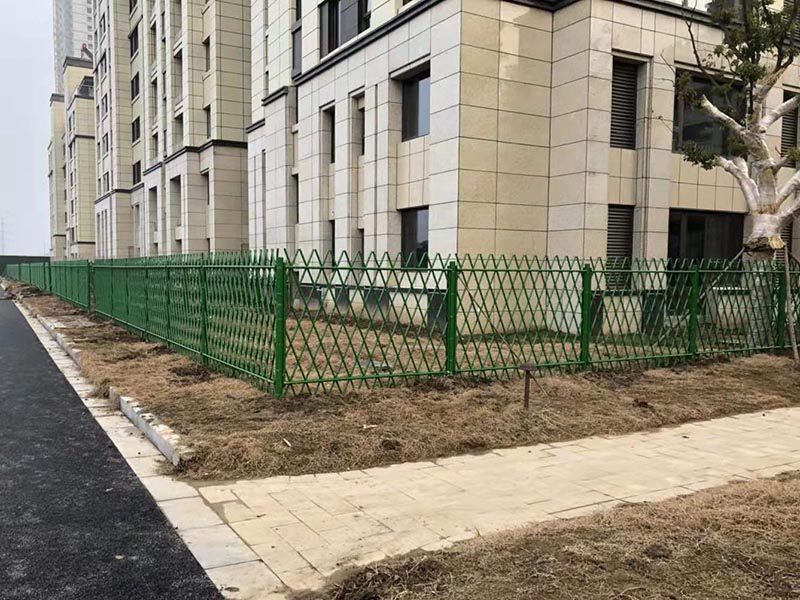 �����o��